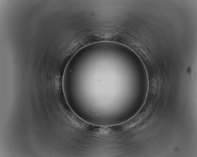 X0000095940612200801181402