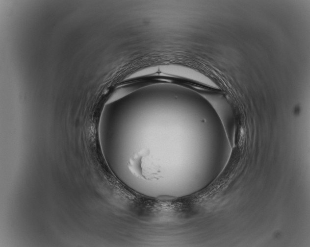 X0000095940613200801181402