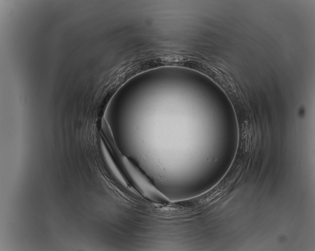 X0000095940614200801181402