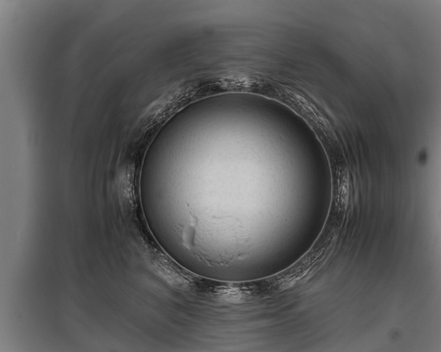 X0000095940616200801181402