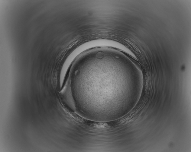 X0000095940618200801181402