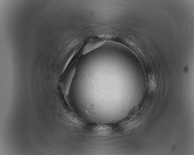 X0000095940619200801181402