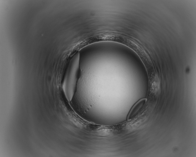 X0000095940620200801181402