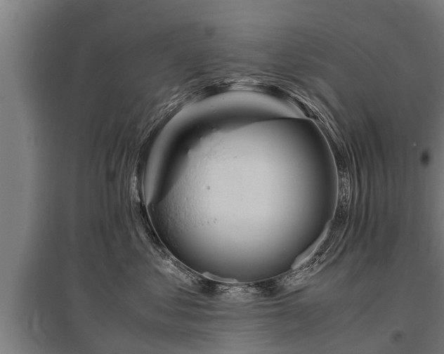 X0000095940621200801181402