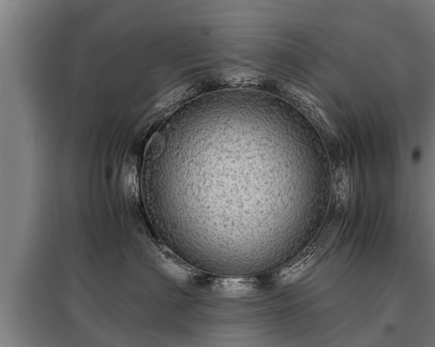 X0000095940622200801181402