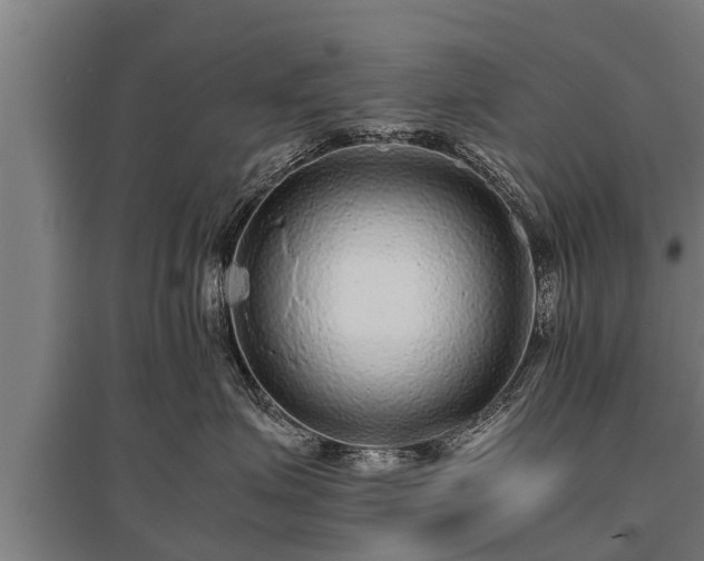X0000095940623200801181402