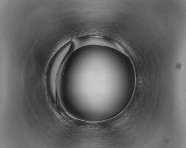 X0000095940626200801181401