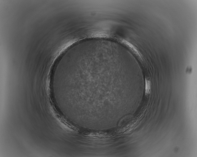 X0000095940627200801181401