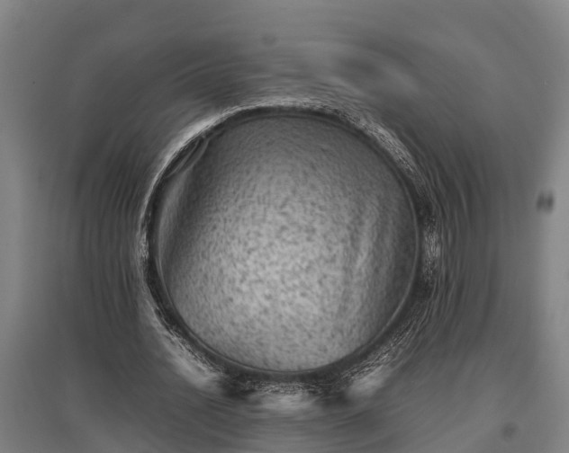X0000095940628200801181401