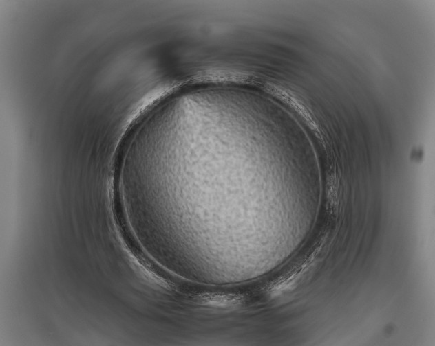 X0000095940629200801181401