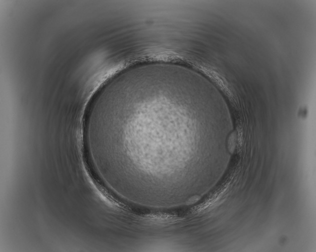 X0000095940630200801181401