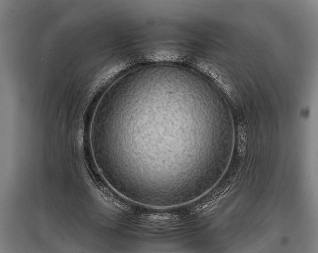 X0000095940631200801181401
