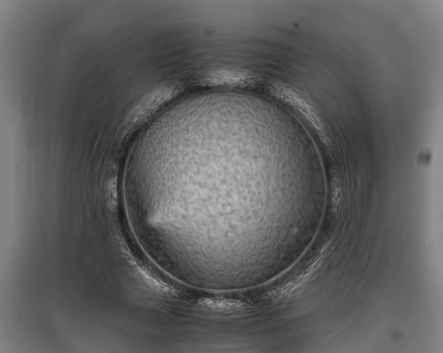 X0000095940633200801181401
