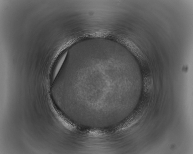 X0000095940634200801181401