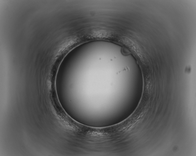 X0000095940635200801181401