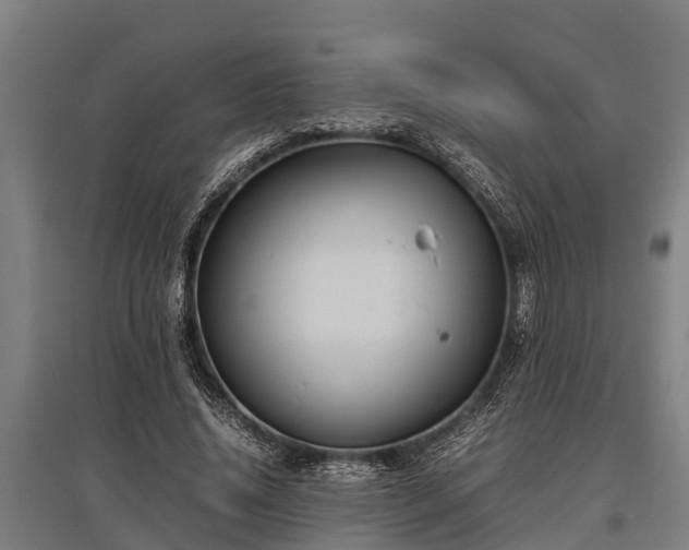 X0000095940636200801181401