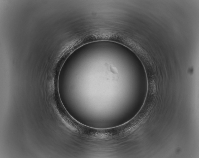 X0000095940638200801181401