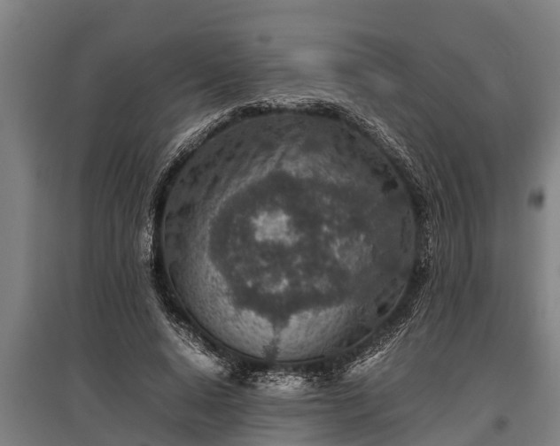 X0000095940640200801181401