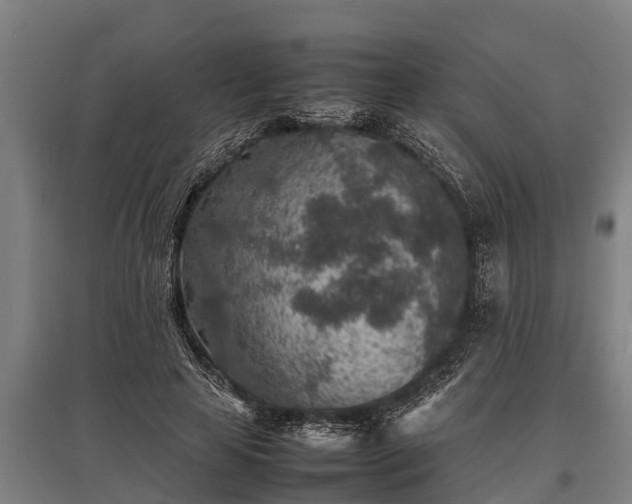 X0000095940641200801181401