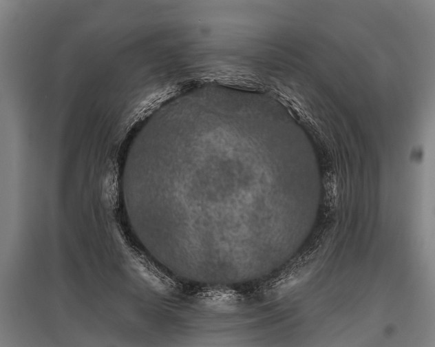X0000095940642200801181401