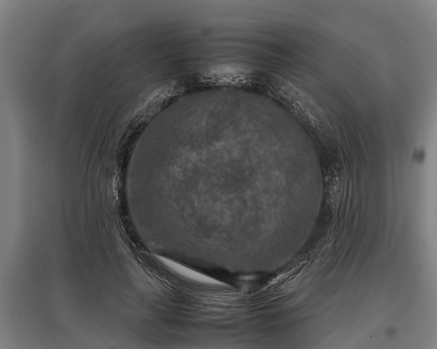 X0000095940643200801181401