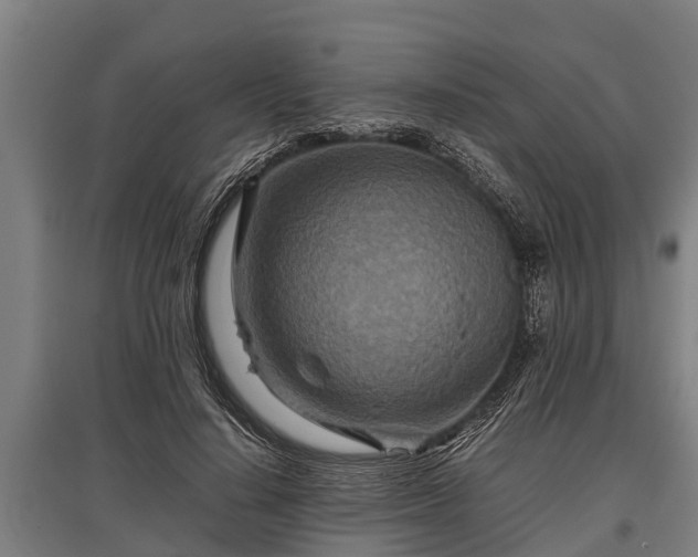 X0000095940644200801181401