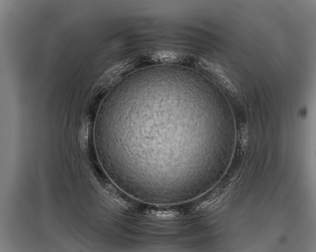 X0000095940645200801181401