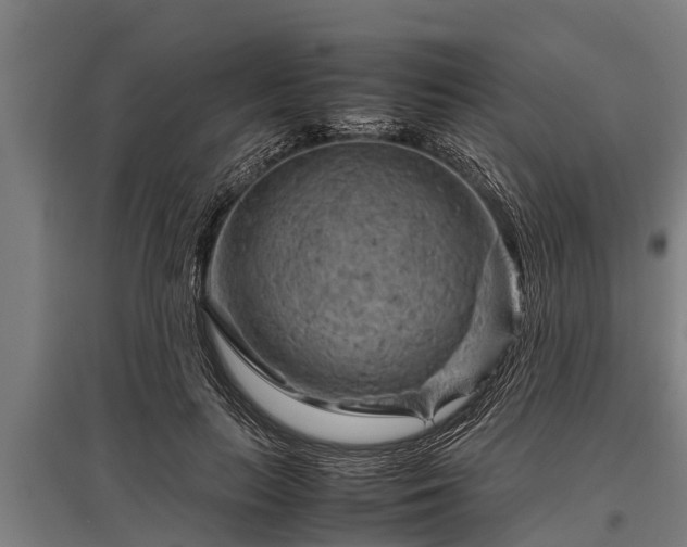 X0000095940647200801181401