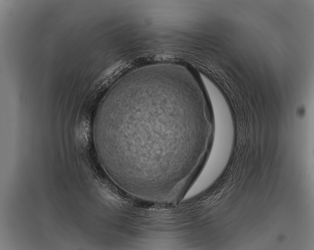 X0000095940648200801181401