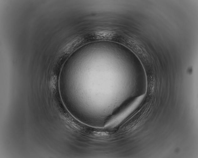 X0000095940649200801181402