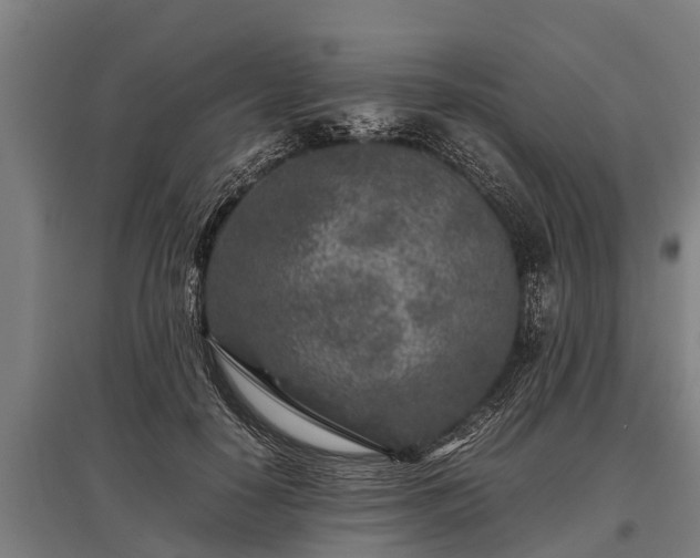 X0000095940650200801181402
