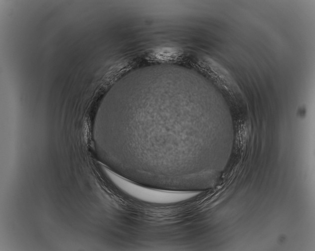 X0000095940651200801181402