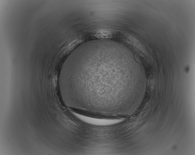 X0000095940652200801181402