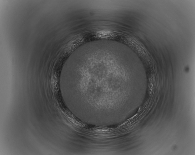 X0000095940653200801181402