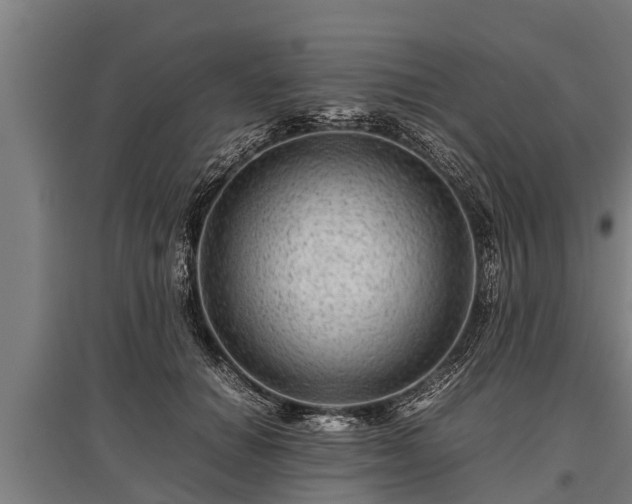 X0000095940654200801181402
