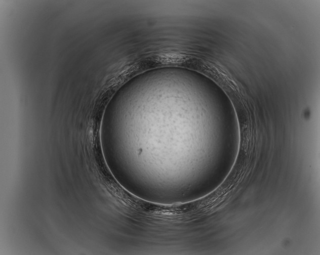 X0000095940655200801181402