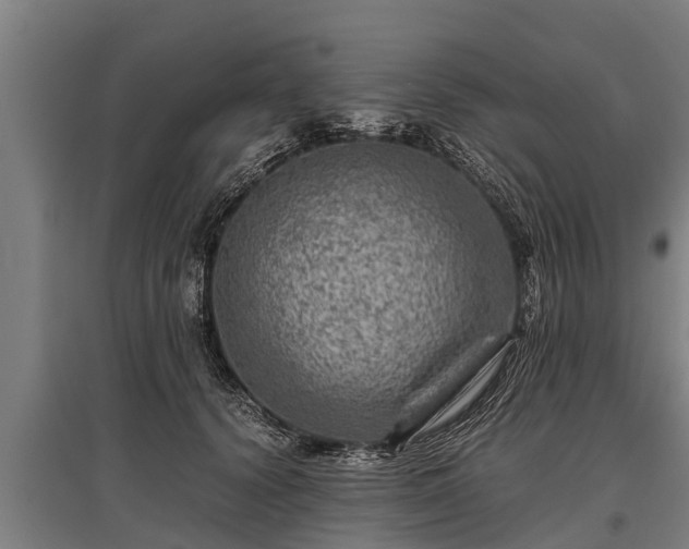 X0000095940656200801181402