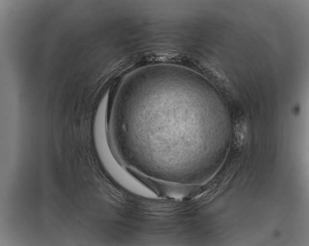 X0000095940657200801181402