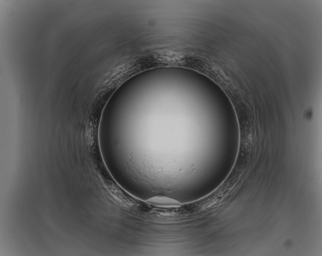 X0000095940658200801181402