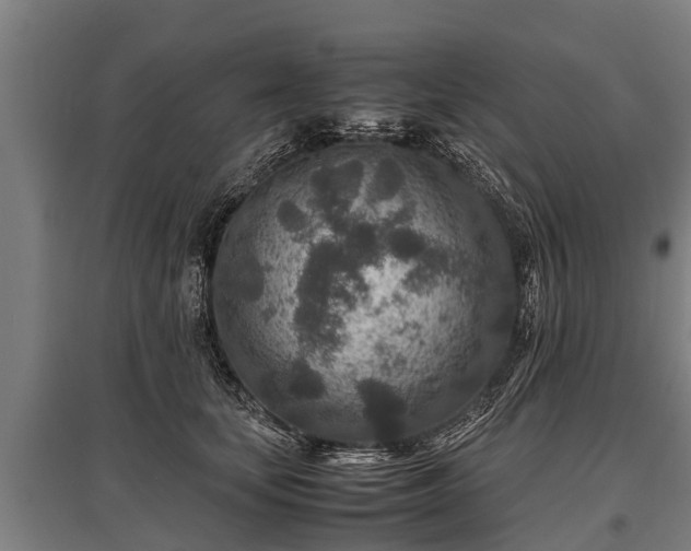 X0000095940659200801181402