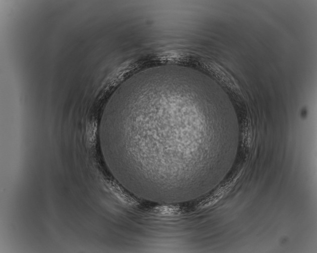 X0000095940660200801181402