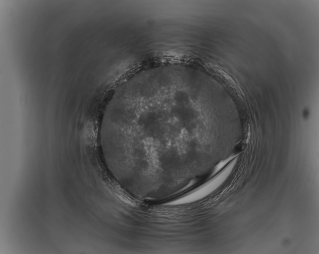 X0000095940661200801181402