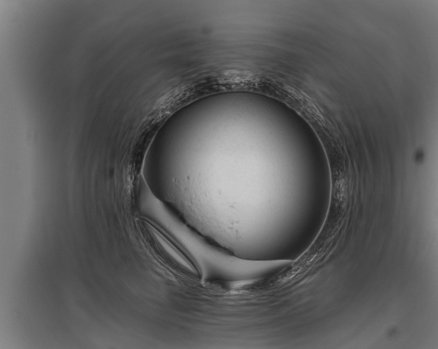 X0000095940662200801181402