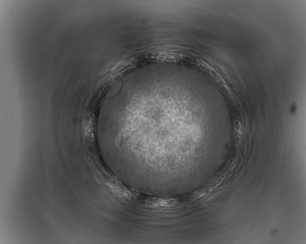 X0000095940663200801181402