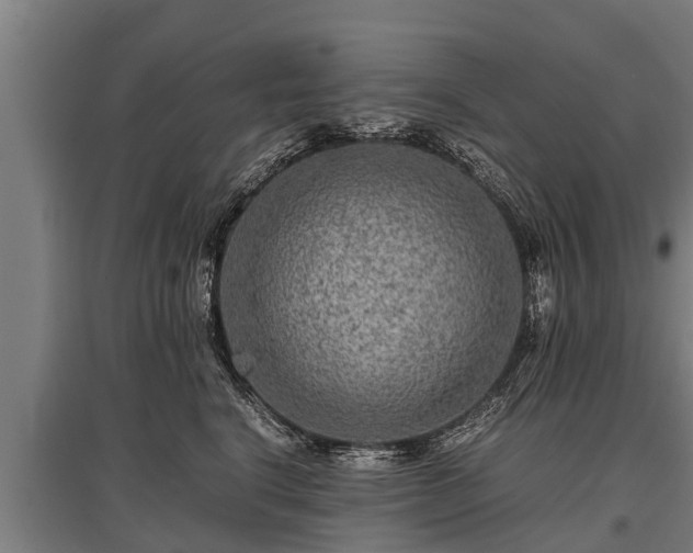 X0000095940664200801181402