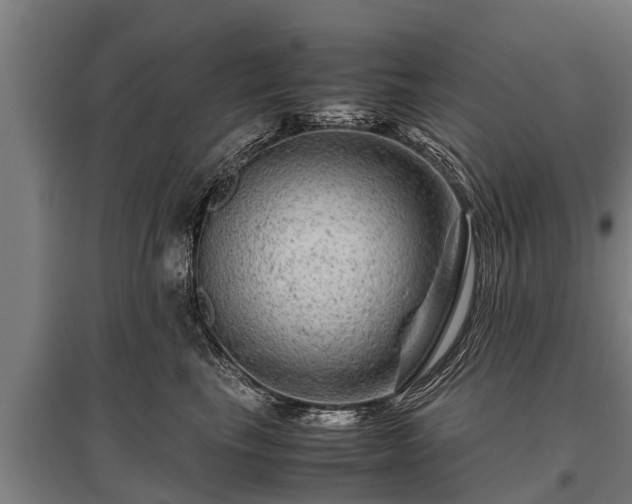 X0000095940665200801181402