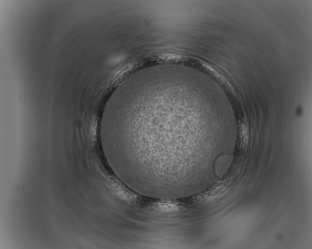 X0000095940668200801181402