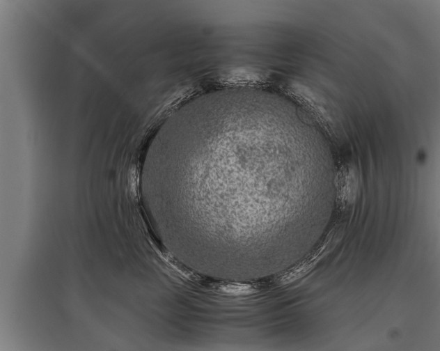 X0000095940669200801181402