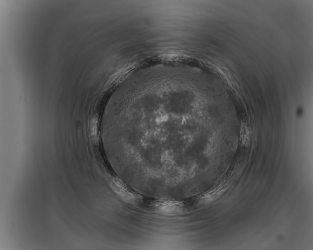 X0000095940670200801181402