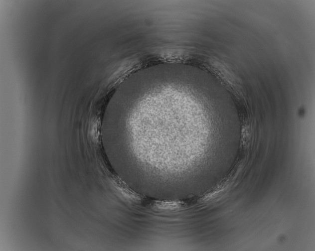X0000095940671200801181402